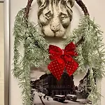 Lejlighed Cont